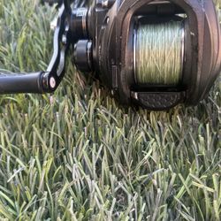 Lews Flipping Switch 