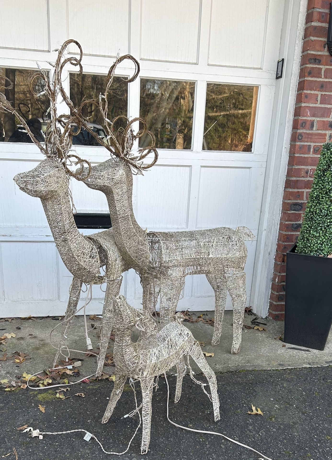 Outdoor Reindeer 