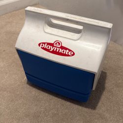 Playmate Igloo Lunch Container