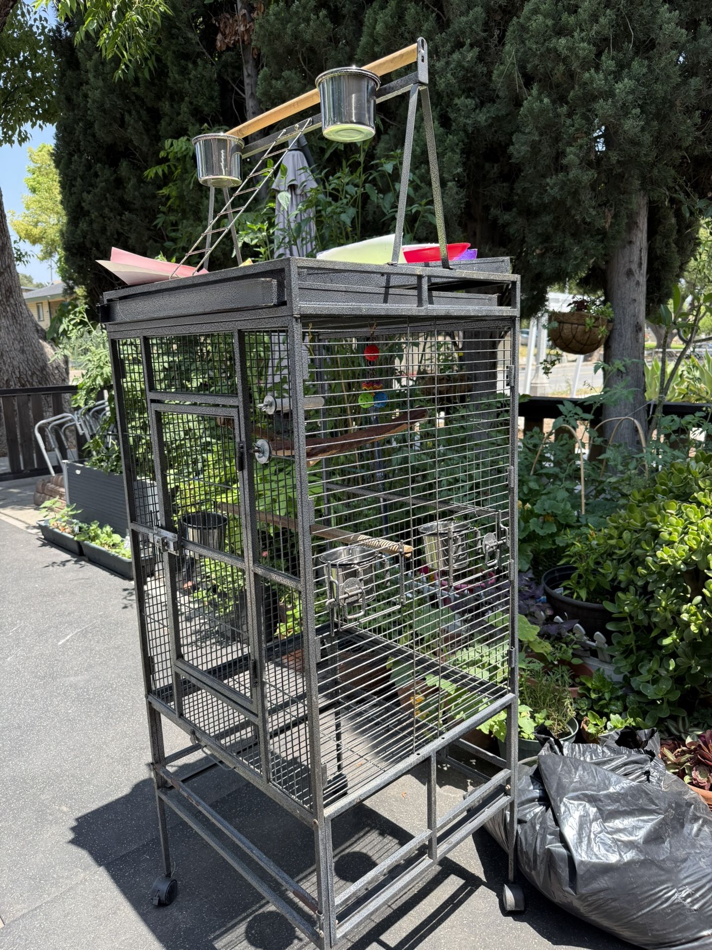 Bird Cage