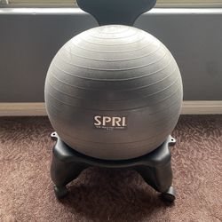 Exercise Ball