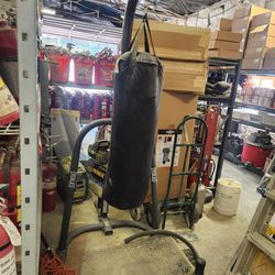 Punching Bag With Stand (Lightly Used)