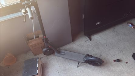 ladped e scooter