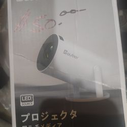 Screen    Projector