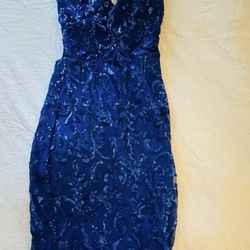 Blue Dress From Windsor 