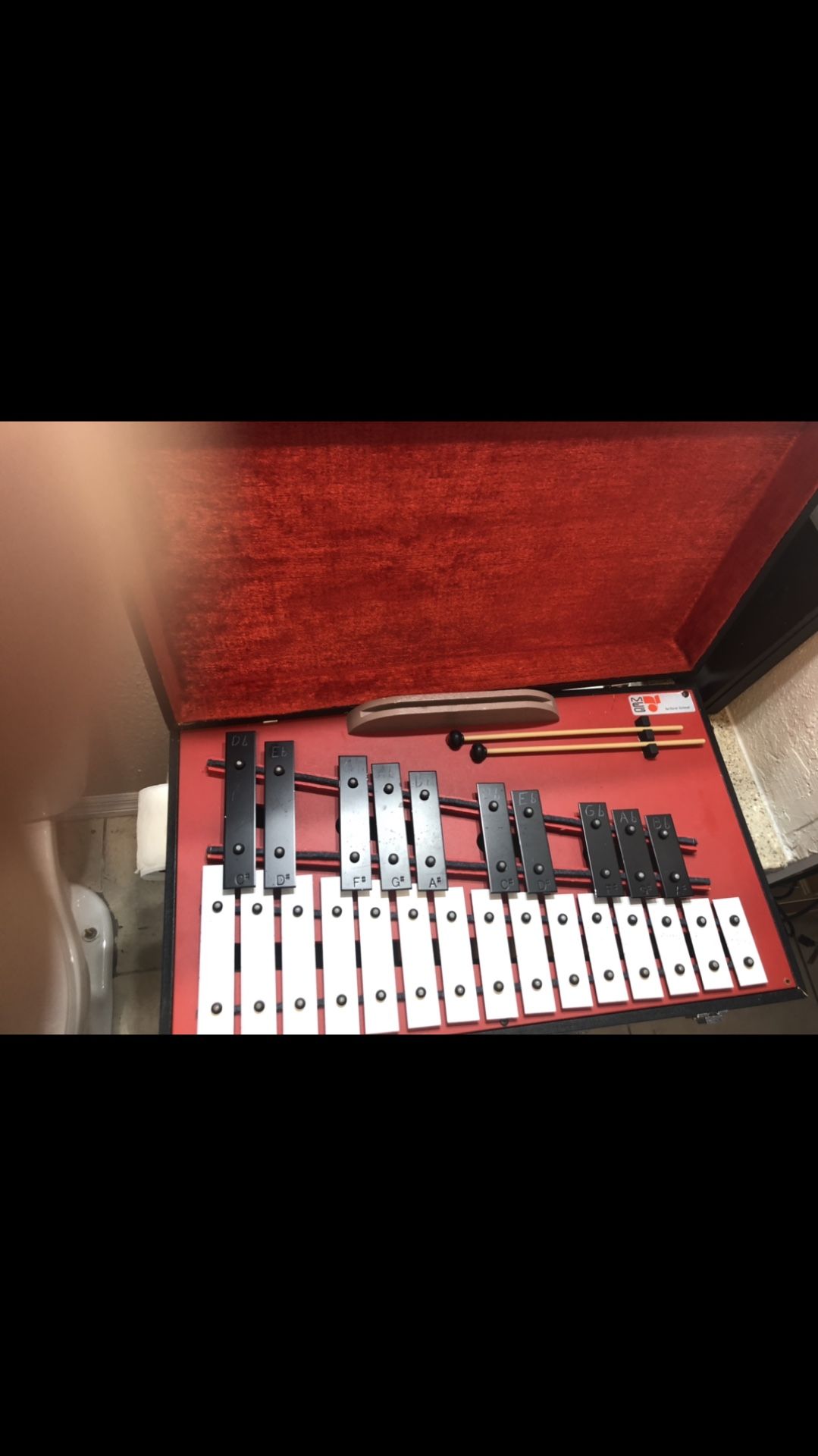 Banjo And Marimba Set