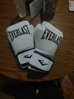 Everlast Leather Core Training Gloves for Boxing,