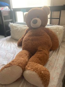 Teddy
