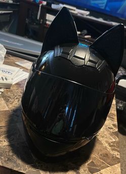 Cat motorcycle helmet