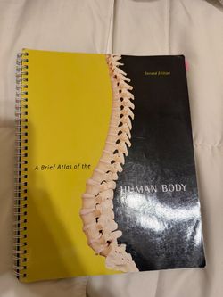 A Brief Atlas of the Human Body