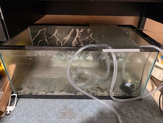 40 gallons tank