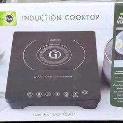 Greenspan induction cooktop 