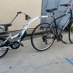 Bike With Kids Trailer