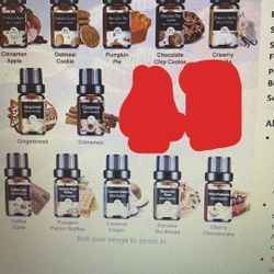Car Air Fresheners