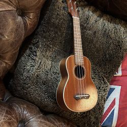 Ukulele