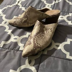 Snake Print Boot Shoes 👞 