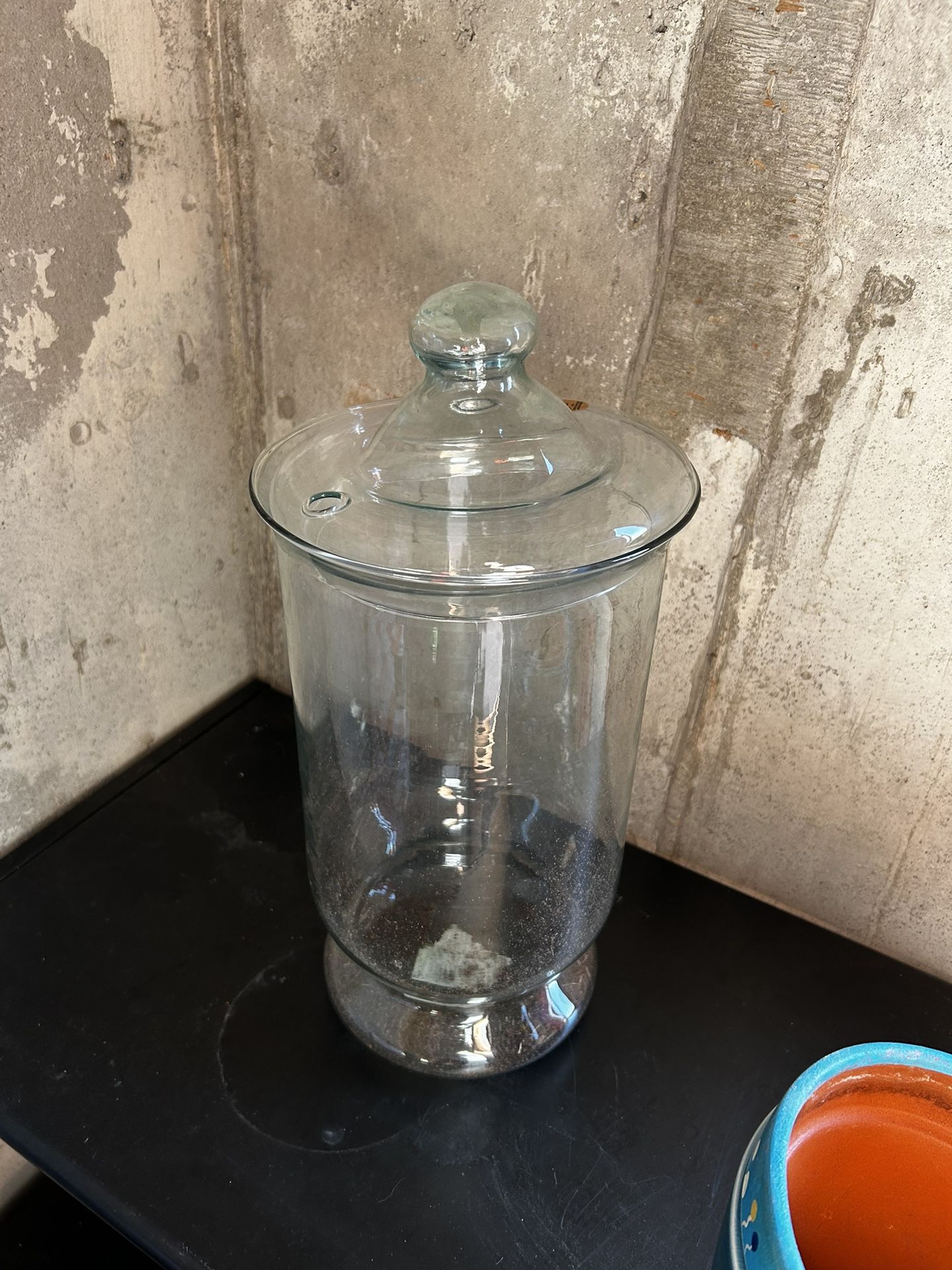Large Glass Greenhouse