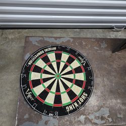 Darts Set
