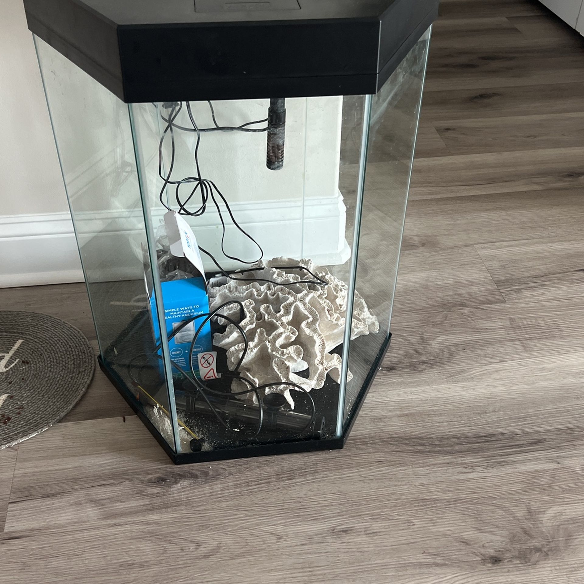 20 Gallon Fish Tank Tall