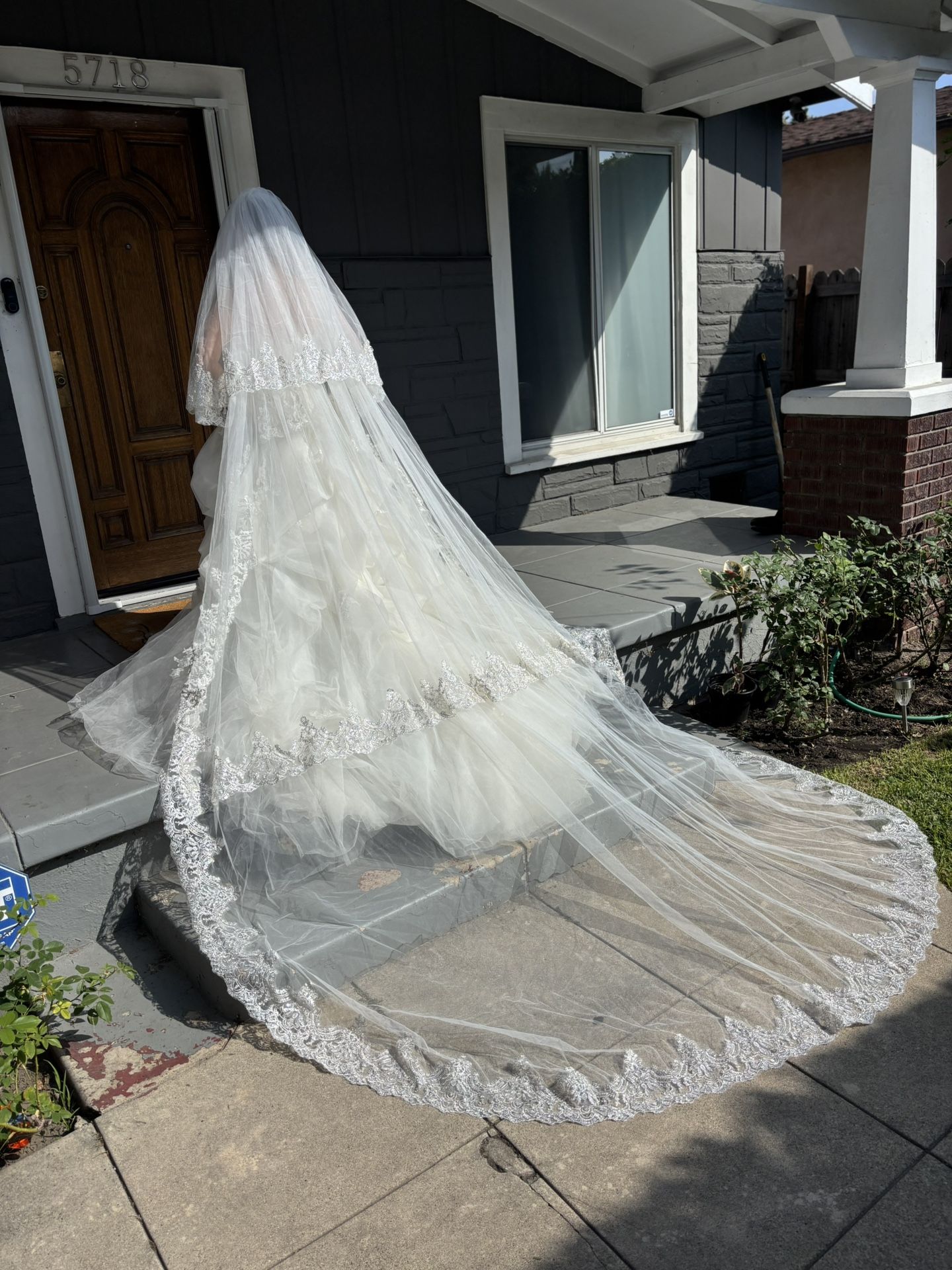 Bride Veil 