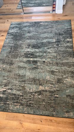 5x7ft Area Rug.