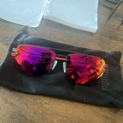 Puma Men’s Polarized Sunglasses 