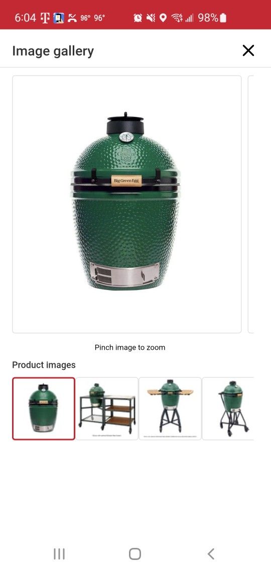 Green Egg Grill And Base Medium