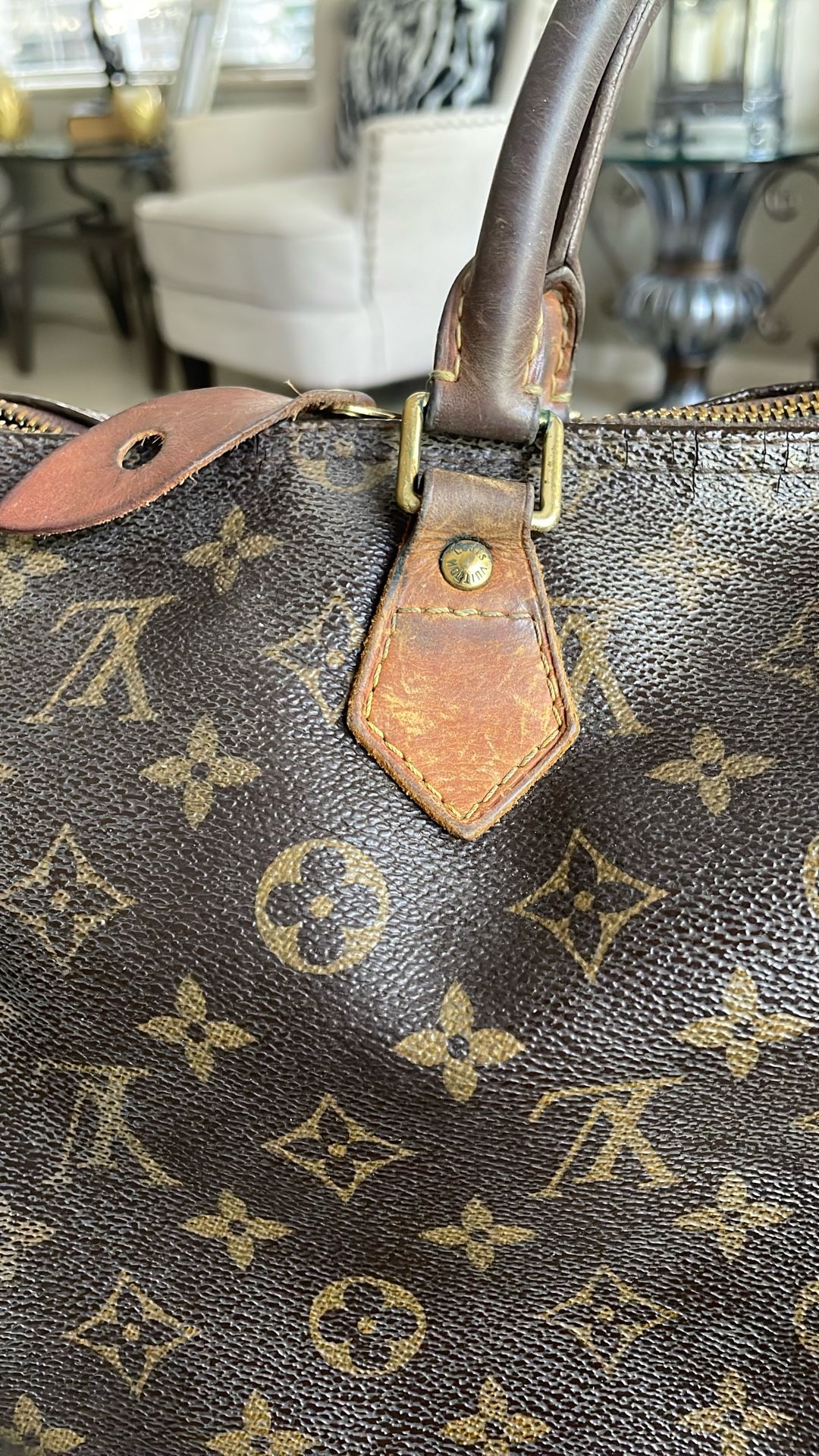 Louis Vuitton Speedy 30 Authentic Best Offer