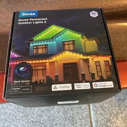 Govee permanent lights