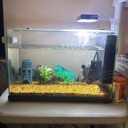 Fish Tank 20 Gallons 