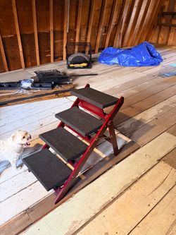 Pet steps