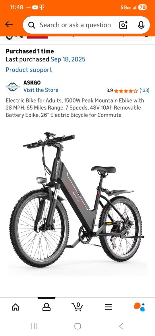 Electric Bike