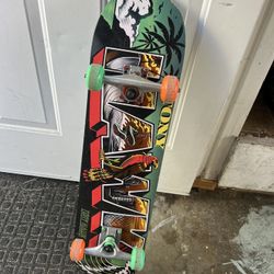 Tony Hawk Skate Board