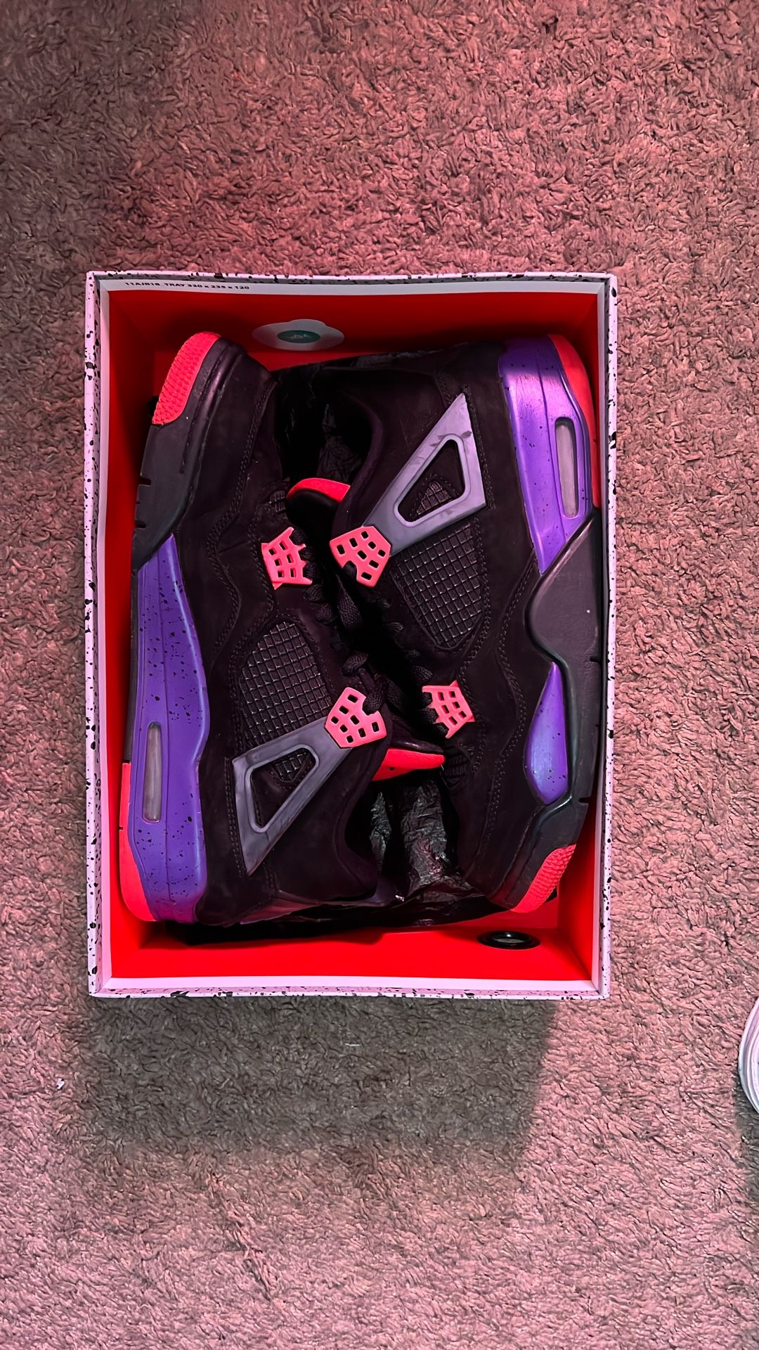 Jordan 4s Size 10.5