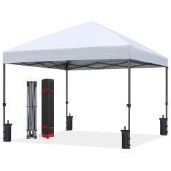 10x10ft Pop-Up Canopy w/Case & 4 Weight Bags
