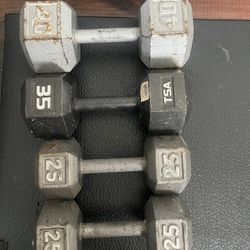 Dumb Bells Weights  