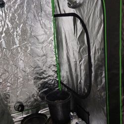 Indoor Grow System