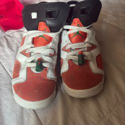 Jordan Retro 6 