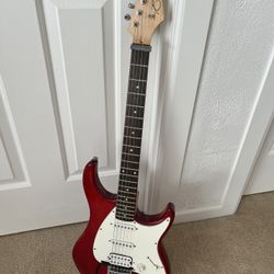 Peavey Raptor plus w/ Case 
