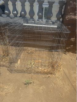 Metal chicken  Wire Cage
