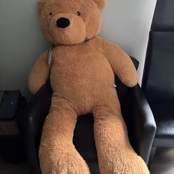 Teddy Bear Large 