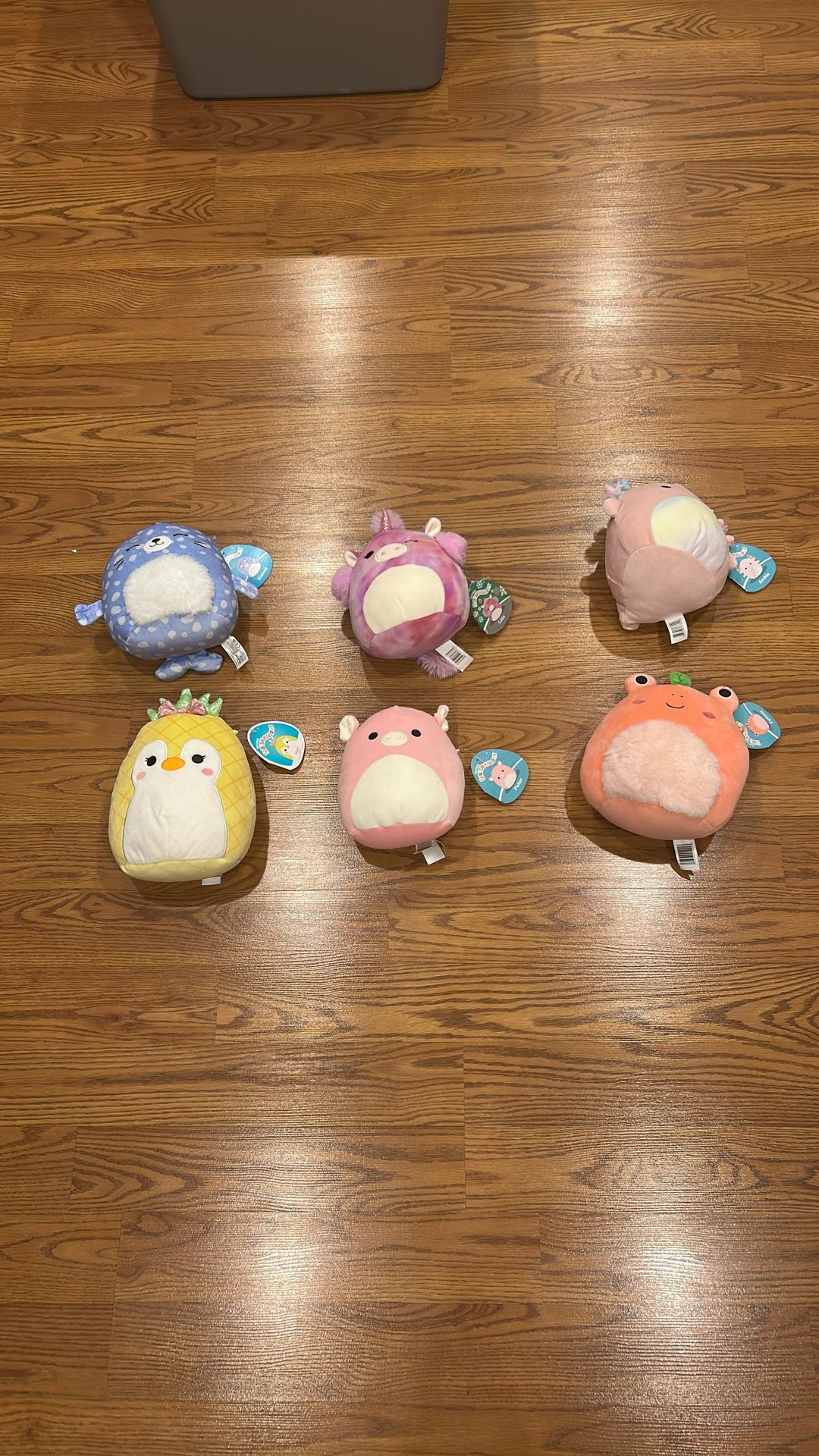 Squishmallows Lot of 6 (7 and 8 Inches)