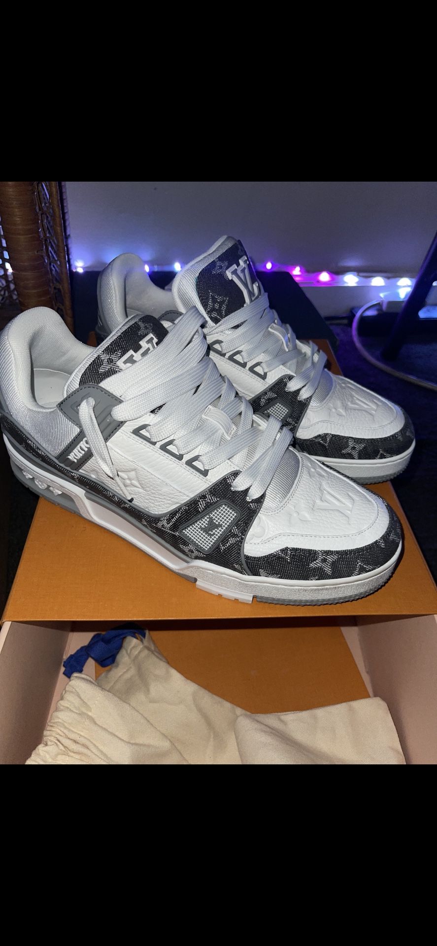 Louis Vuitton Sneakers