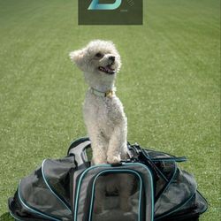 Expandable Pet Carrier for Cats, Small Dogs & Puppies – Airline-Approved Soft-Sided Travel Bag with 3 Doors, Reflective Strips & Shoulder Strap – Fold