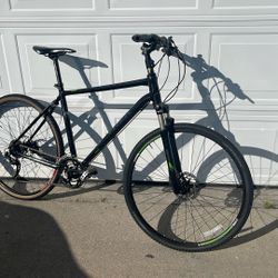 Trek Dual Sport 8.5
