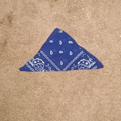 Blue Bandana