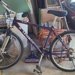 Beginner Mt Bike, 24 Speed. Need Rear Intertube