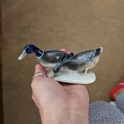 Mid 20th Century German Ducks