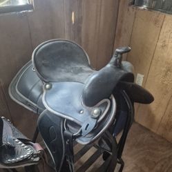 Horse Saddle