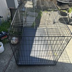 Large Dog Cage